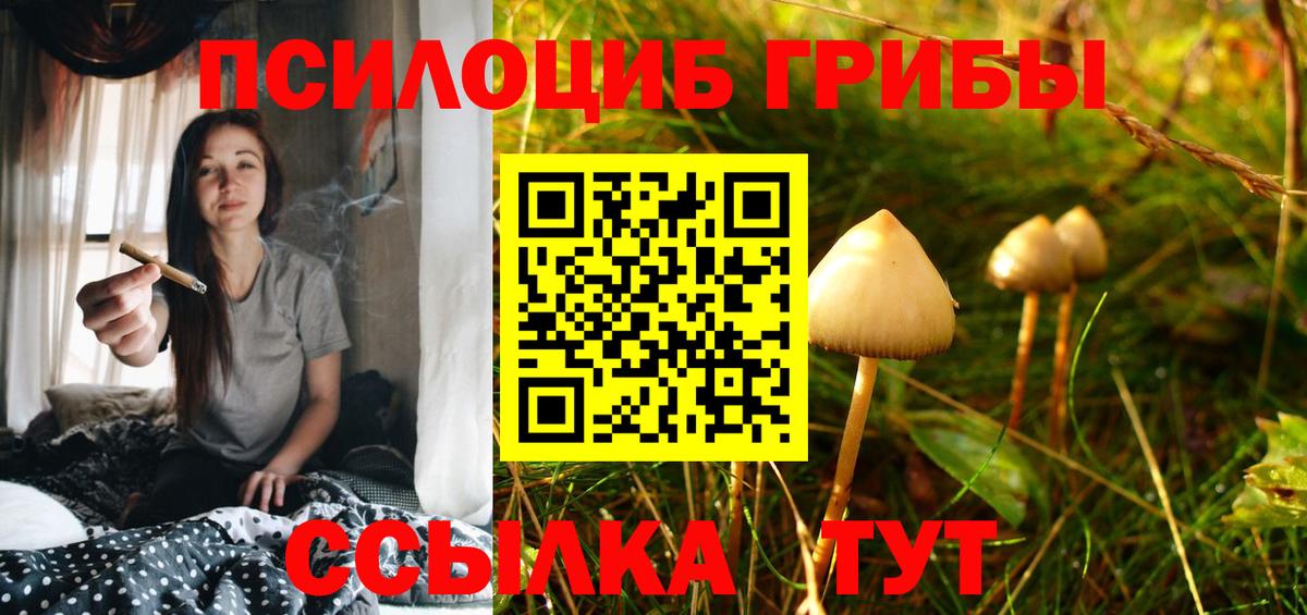 Галлюциногенные грибы Magic Shrooms  Псилоцибиновые грибы мухоморы  Вход с VPN  Сальск 